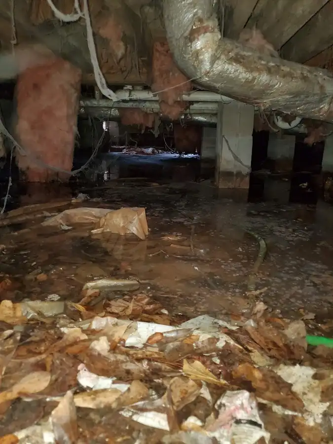 Crawl space flood assessment for Leak Detection & Repair in Saraland