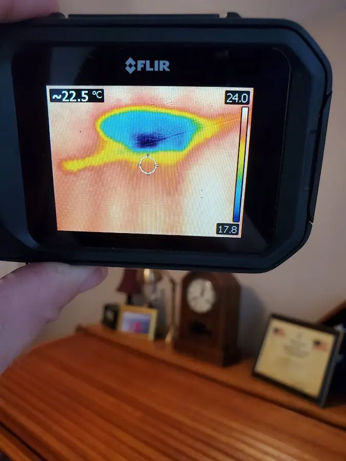 Thermal imaging inspection for water damage in Saraland